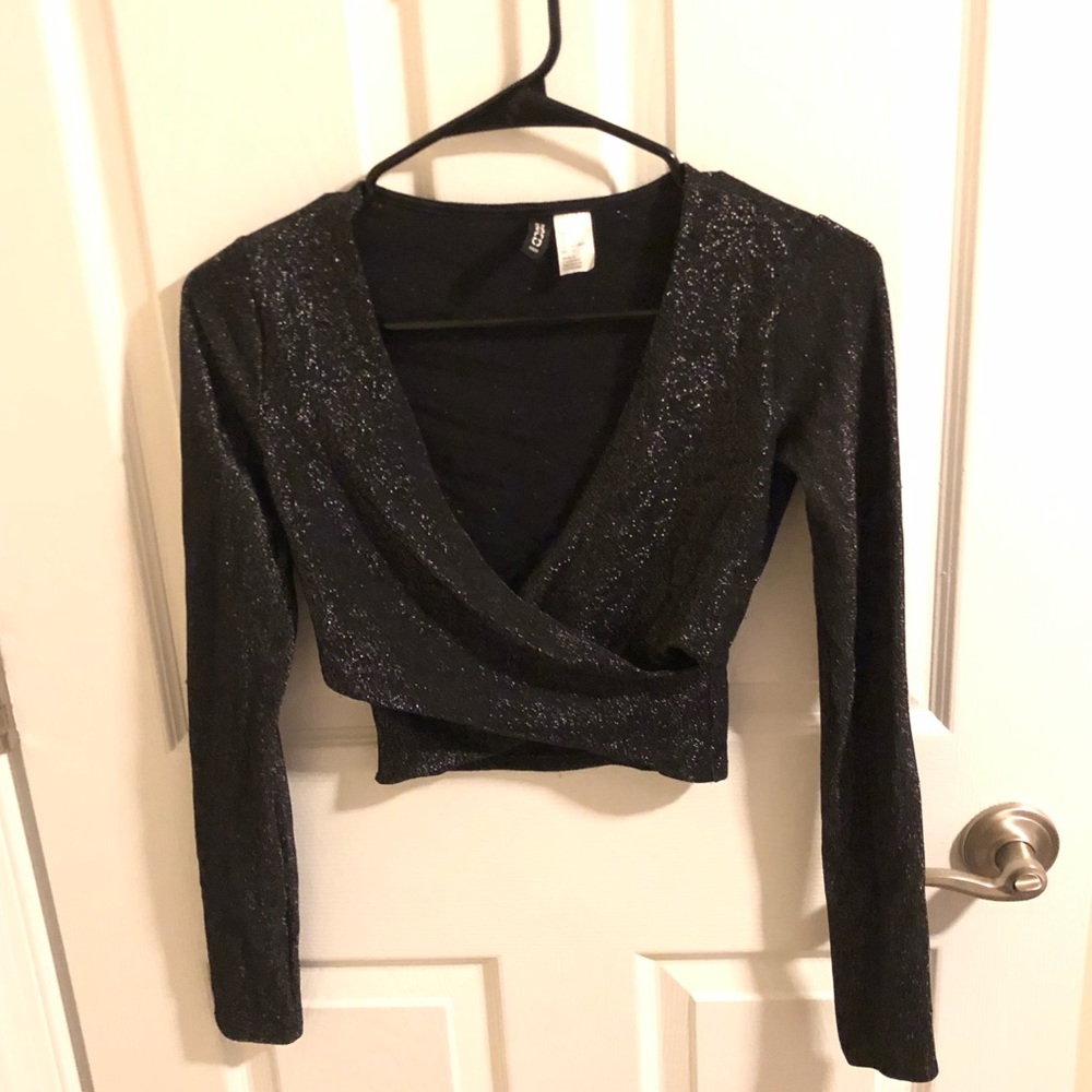 Shimmery Crop Top